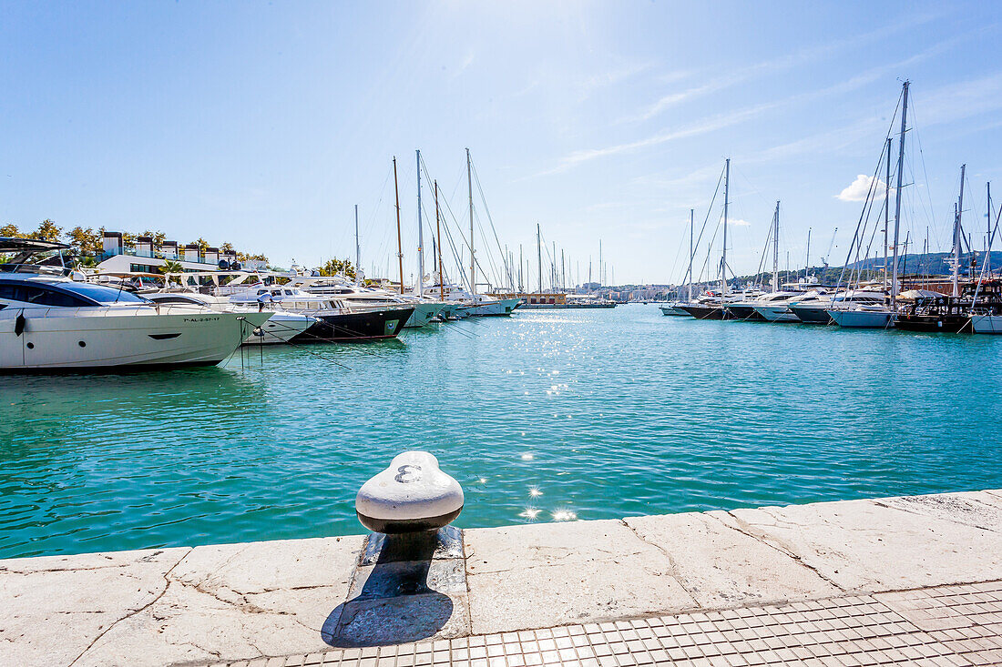 Luxus-Yachten im Hafen von Palma, Mallorca, Spanien, Europa