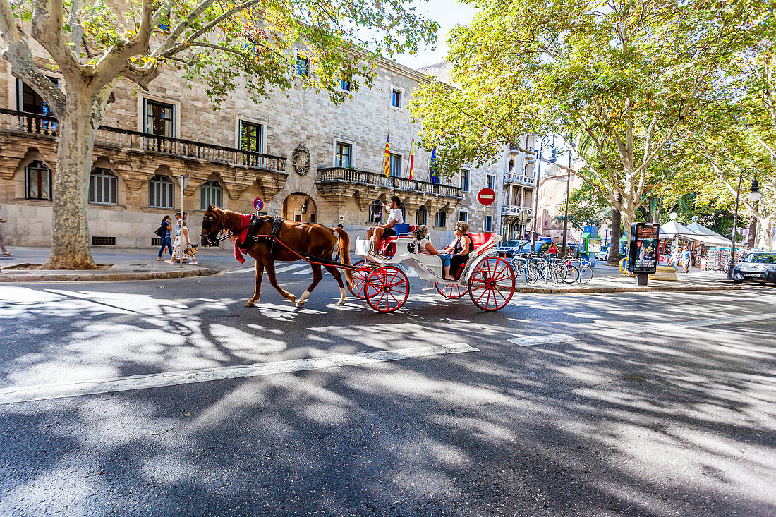 Pferdekutsche in der Altstadt von Palma, Ciutat Antiga, Palma de Mallorca, Majorca, Balearen, Balearische Inseln, Mittelmeer, Spanien, Europa