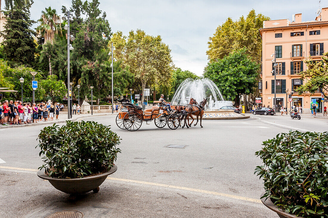 Horse carriages next to parc de Almudaina, placa de la Reina, historic city centre, Ciutat Antiga, Palma de Mallorca, Majorca, Balearic Islands, Mediterranean Sea, Spain, Europe