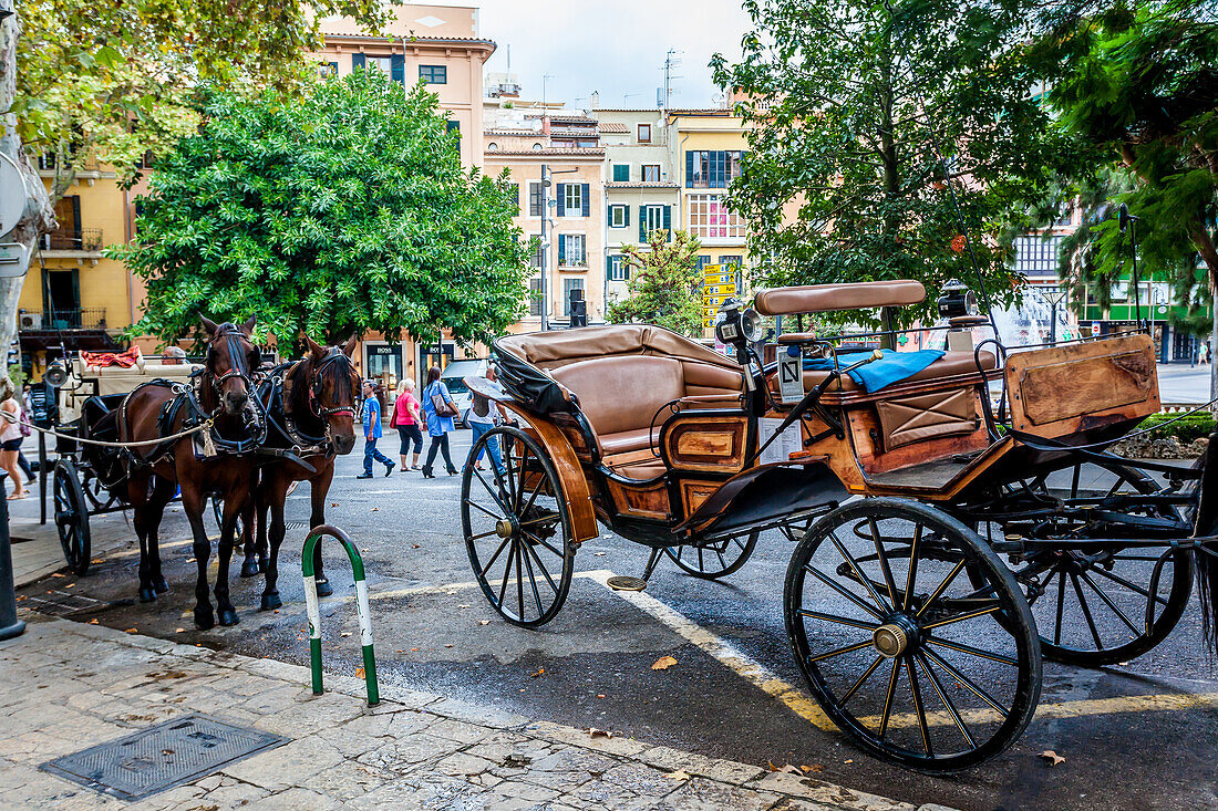 Pferdekutsche in der Altstadt von Palma, Ciutat Antiga, Palma de Mallorca, Majorca, Balearen, Balearische Inseln, Mittelmeer, Spanien, Europa