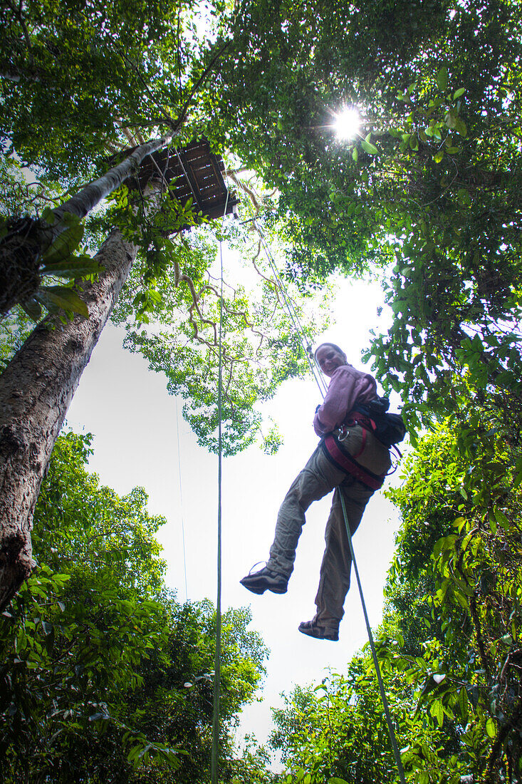 Descending from zipline platform in the Amazon jungle, Peru.