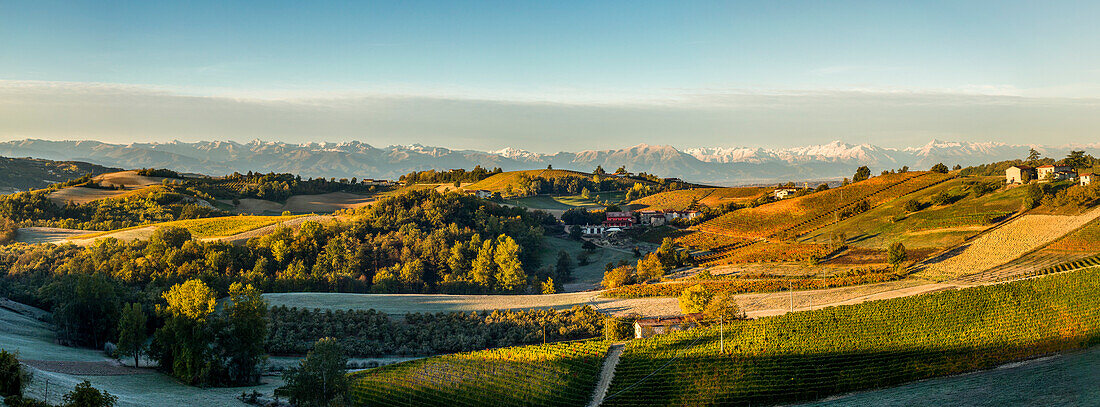 Panorama von Weinbergen mit bereiften Feldern und Berglandschaft bei Sonnenaufgang, Dogliani, Piemont, Italien