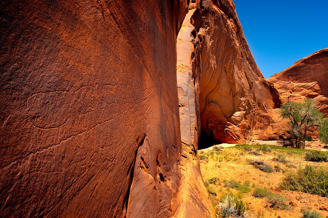 Bighorn sheep in petroglyph panel, Grand Staircase Escalante Monument, Utah