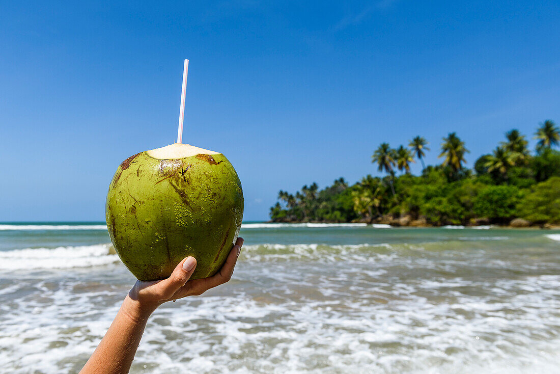 Female hand holding coconut fruit for drinking against sea and tropical scenery, Boipeba Island, Bahia, Brazil