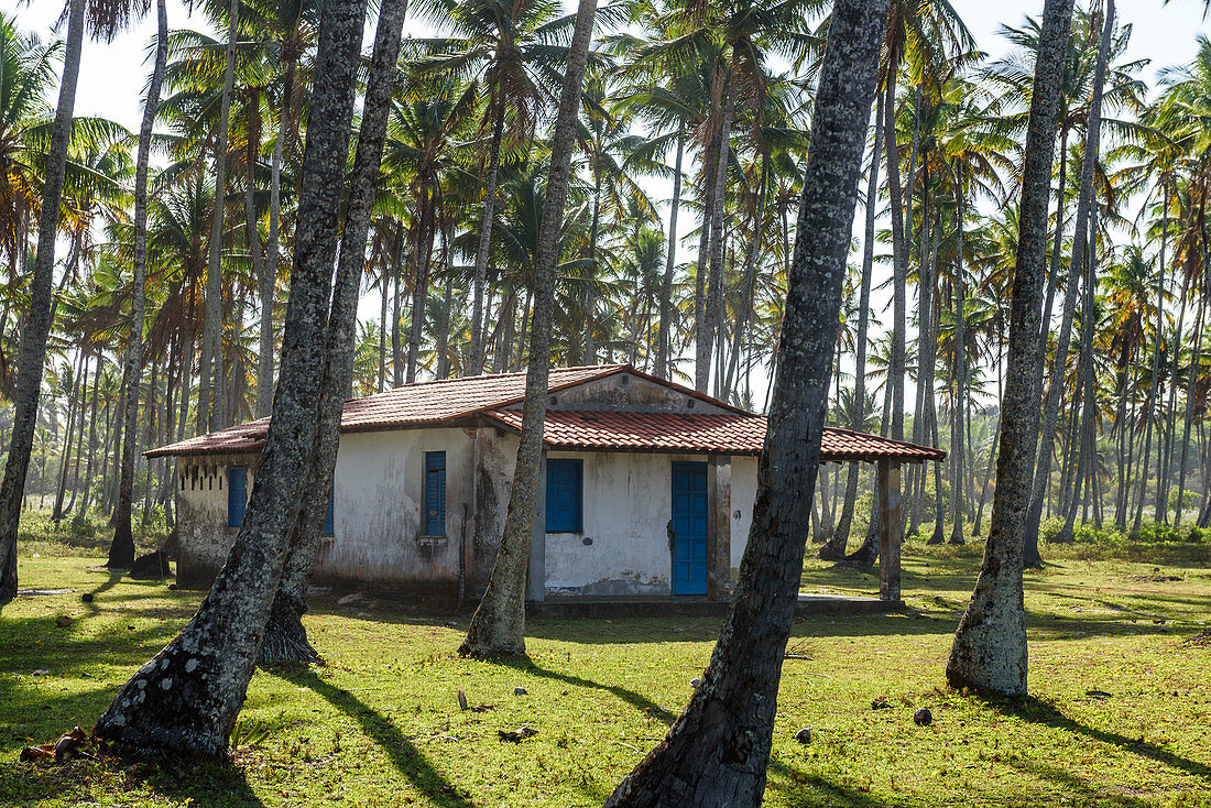 Foto von kleinen verlassenen Haus zwischen Kokospalmen, Boipeba Island, South Bahia, Brasilien