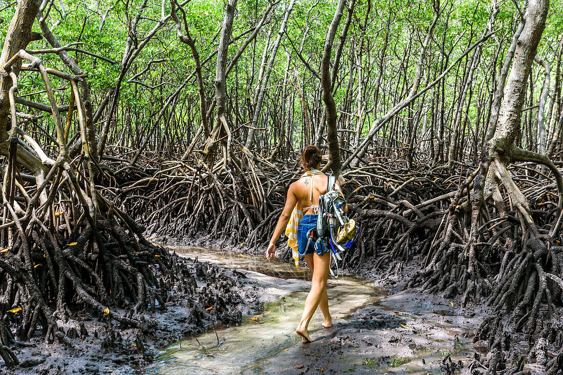 Rear view photograph of woman walking in tropical scenery with mangrove trees, Boipeba Island, South Bahia, Brazil