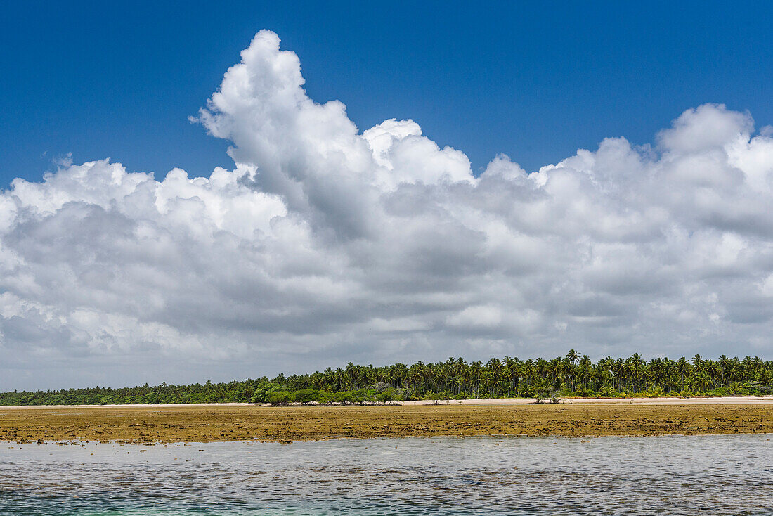 Tropischer Strand im Süden von Bahia, Ilha de Boipeba, Brasilien