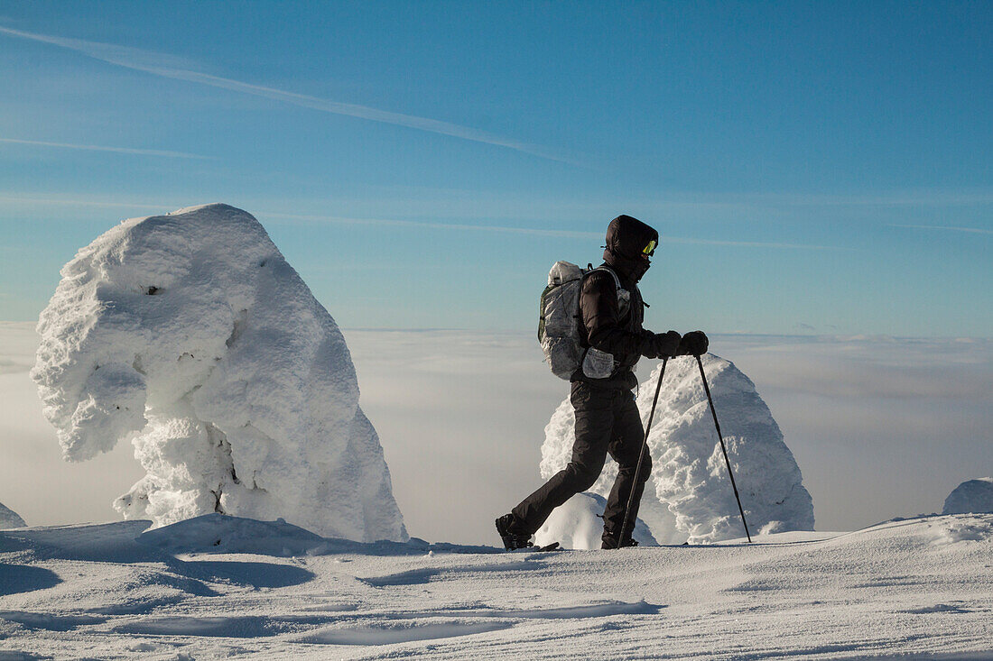 Schneeschuhwandern durch verschneite Bäume auf Big White Mountain, British Columbia, Kanada