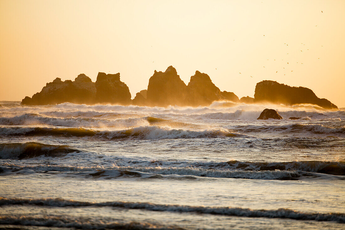 Landschaft mit Wellen und Felsformationen im Meer bei Sonnenuntergang, Bandon Beach, Oregon, USA