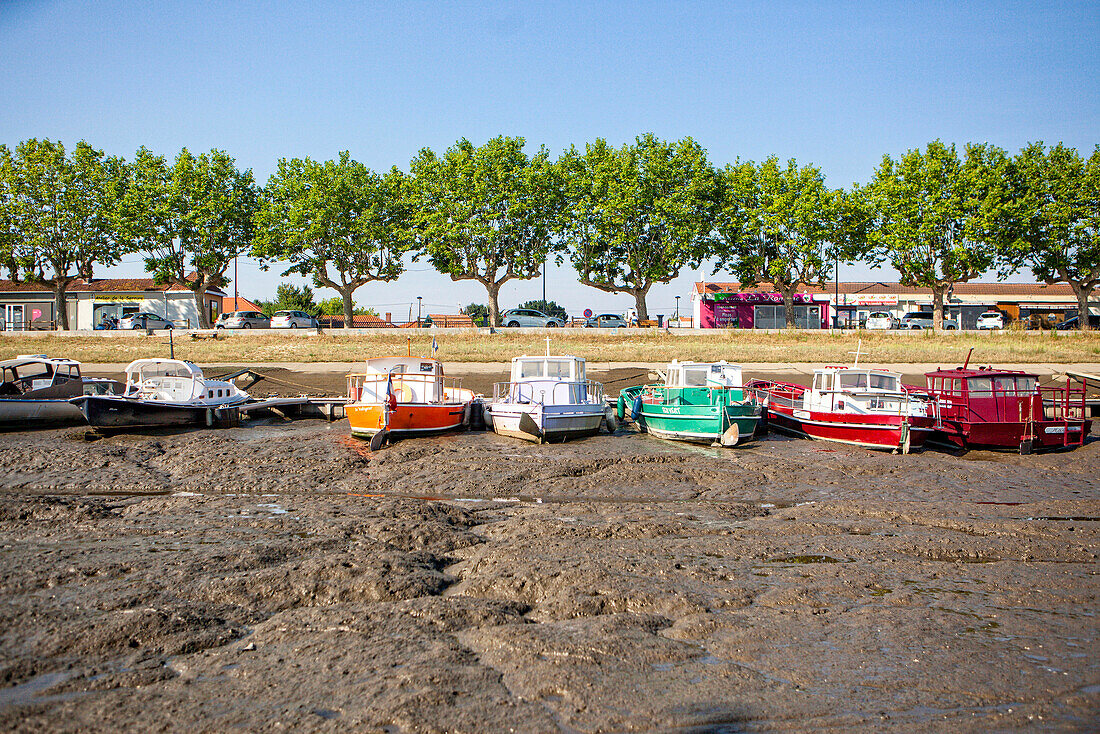 Bucht von Arcachon (in Französisch, das Bassin d'Arcachon, auch bekannt als le Bassin) ist eine Bucht des Atlantiks an der Südwestküste Frankreichs, in Pays de Buch zwischen der Côte d'Argent und der Côte des Landes gelegen , in der Region Aquitanien. Die