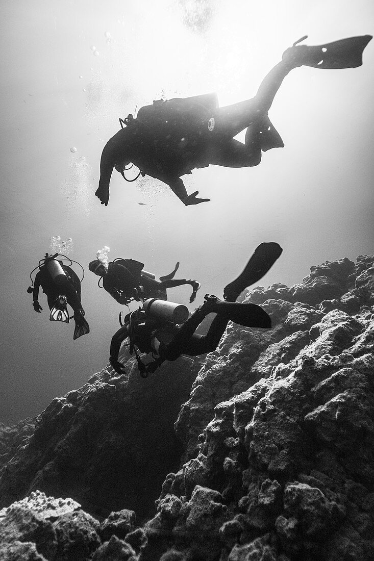Fotografie von vier Tauchern unter Wasser schwimmen, Revillagigedo Islands, Colima, Mexiko