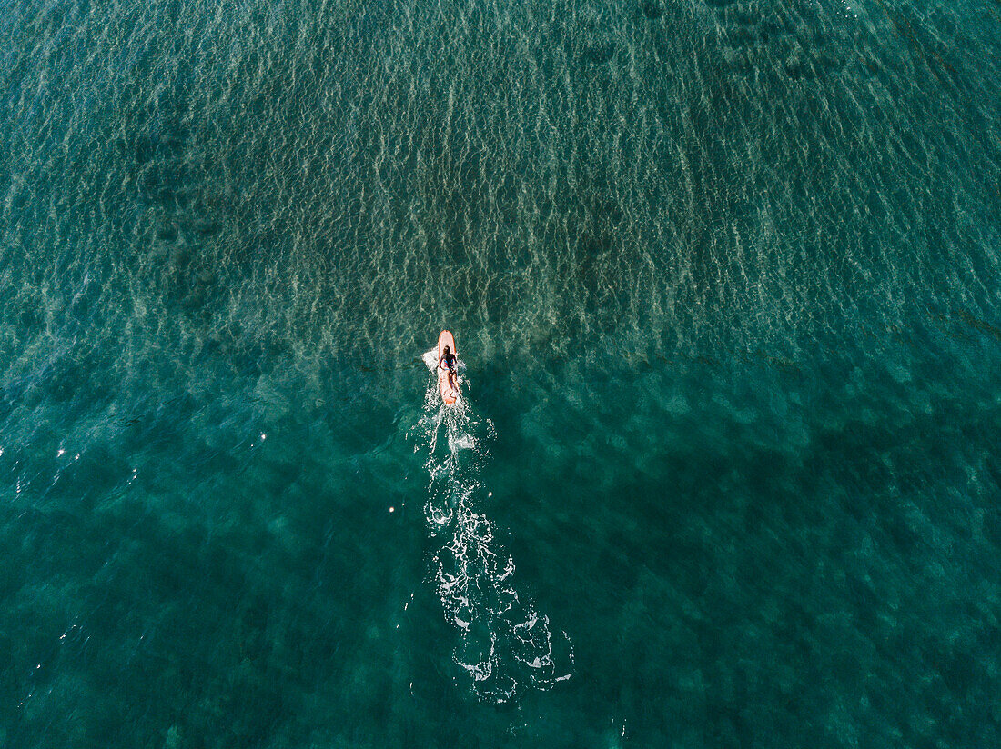 Aerial view of female surfer surfing in crystal clear water, Tenerife, Canary Islands, Spain