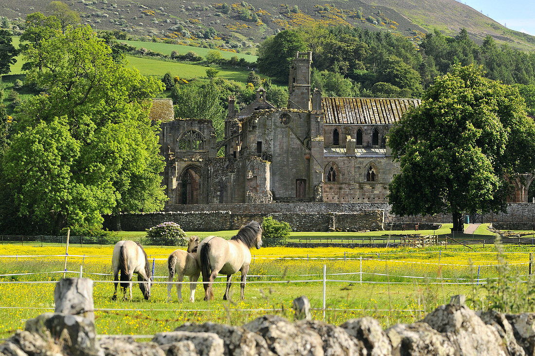 Melrose- Abbey, South- Scotland