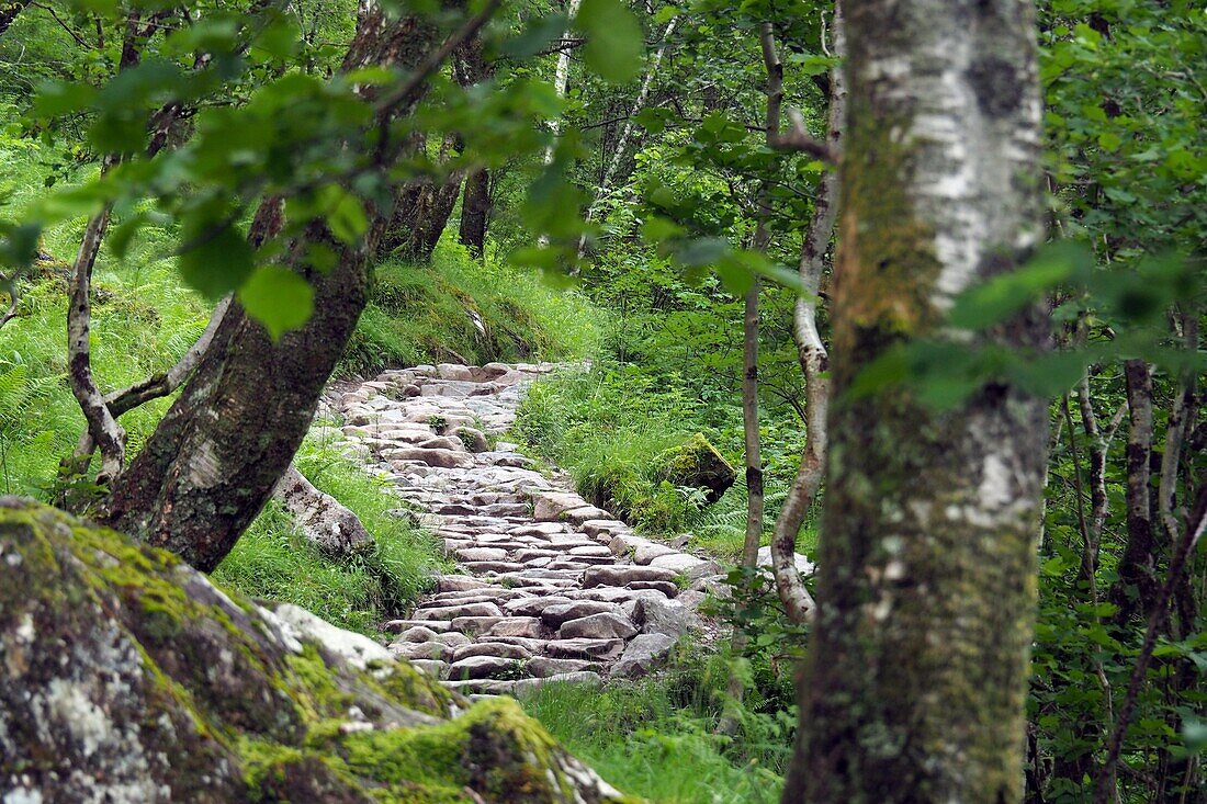 Hikingtrail under the Ben Nevis in the Glen Navis near Fort William, Scotland