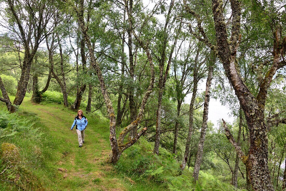 hiking at the westbank of Loch Ness, Highlands, Scotland