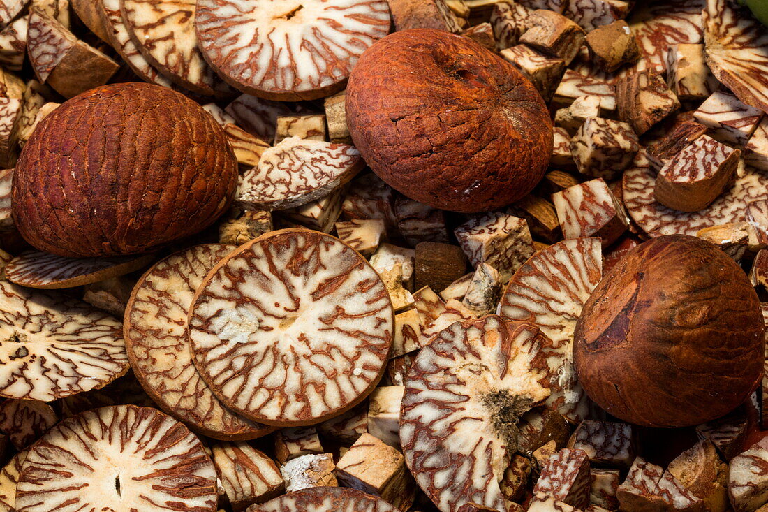 Detail of betel nut (areca nut), near Nyanchaydock, Sagaing, Myanmar