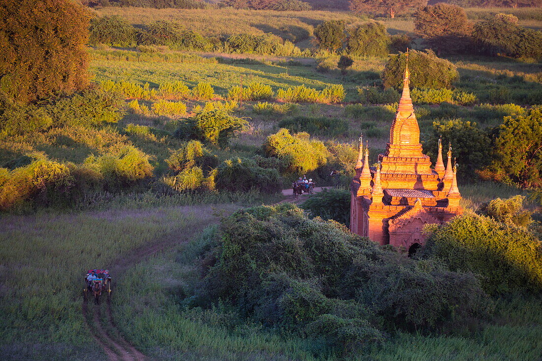 Horse-drawn carriages and stupa seen from Shwesandaw Pagoda at sunset, Bagan, Mandalay, Myanmar