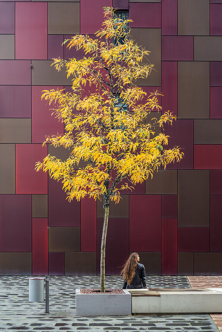 Frau sitzt am Baum in Herbstfarben vor einem Wohnhochhaus, Speicherstadt, Hamburg, Deutschland