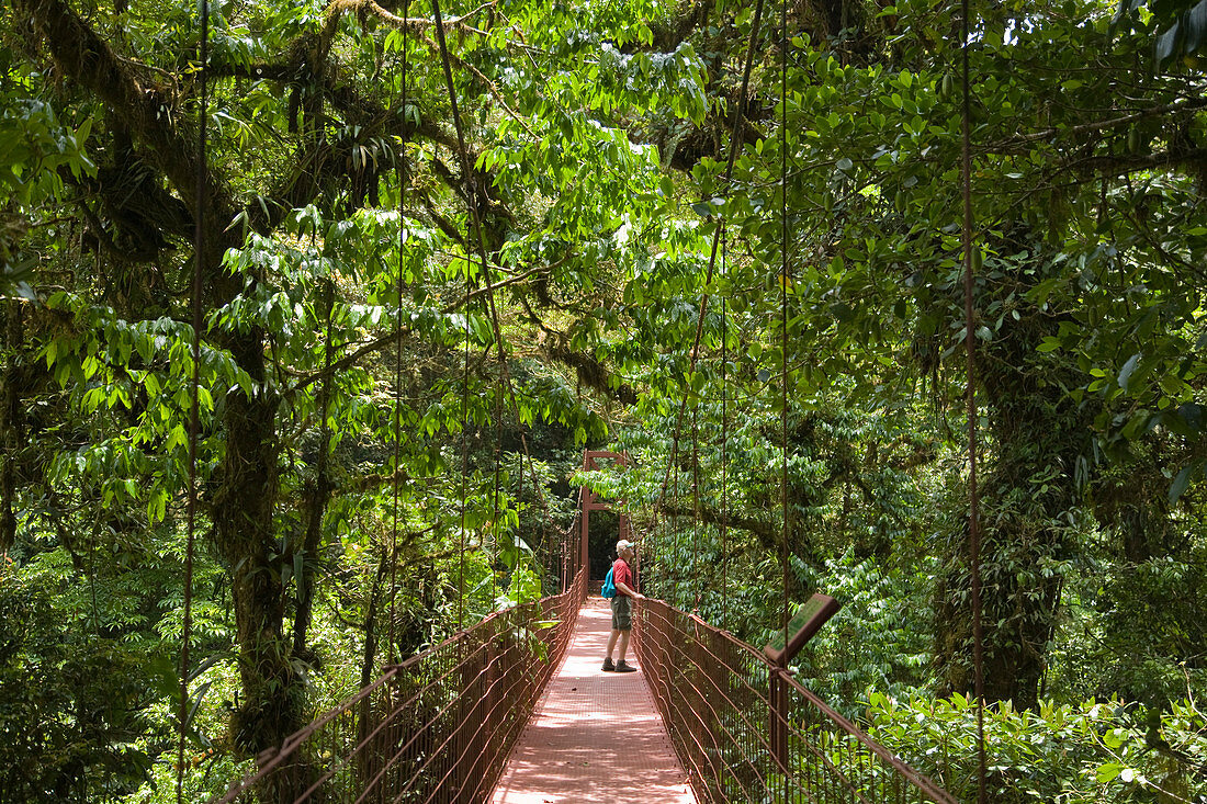 Hiker stands on suspension bridge in Costa Rica Monteverde Cloud Forest Preserve