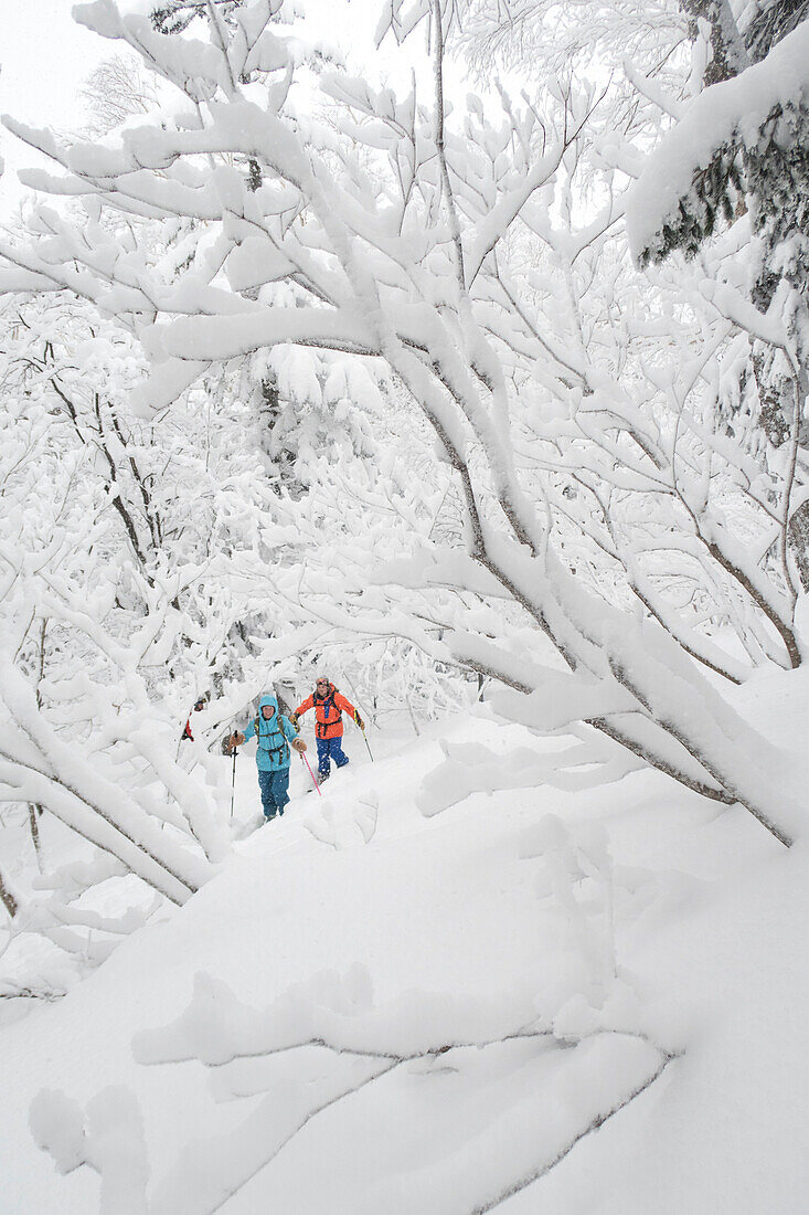 Two backcountry skiers (a man and a woman in colorful clothes) are ski touring on the Tokachidake, a mountain in Kamifurano on Hokkaido, Japan. The three are covered with a thick layer of snow.