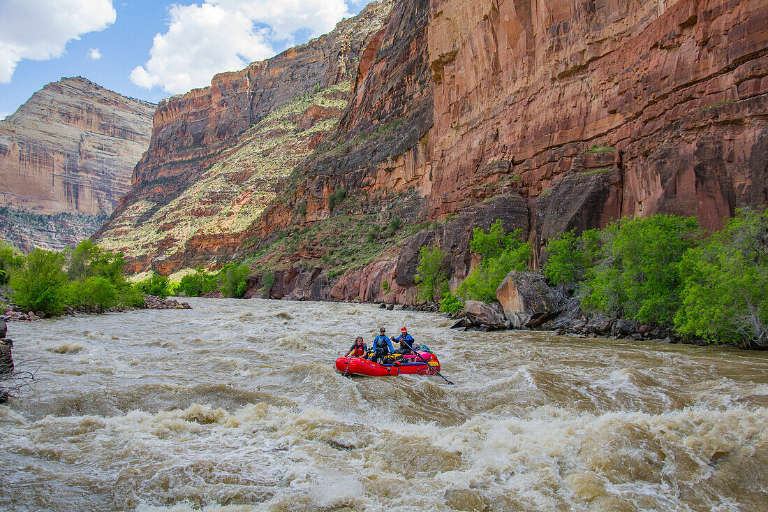 Rafting Die Yampa und grüne Flüsse durch Dinosaur National Monument