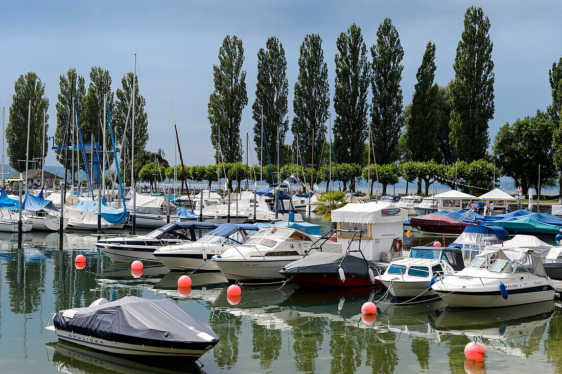 Deutschland, Baden-Württemberg, Unteruhldingen am Bodensee, Bodensee