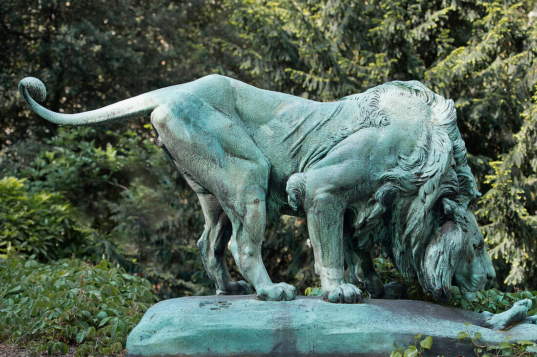 'France, Paris, 5th district. Jardin des plantes. The statue '' Lion finding a corpse '', bronze by Henri Jacquemart ( 1855 )'