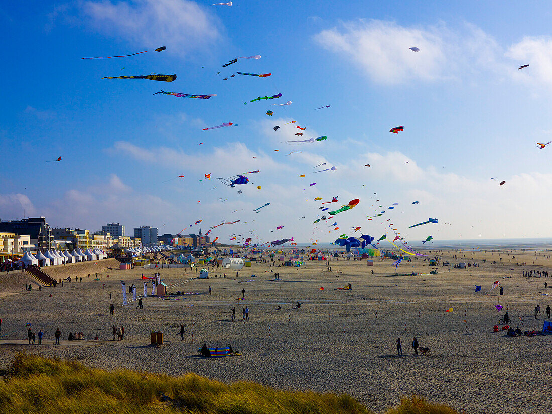 Frankreich, Nordfrankreich, Pas-de-Calais, Berck sur mer, Drachenfestival