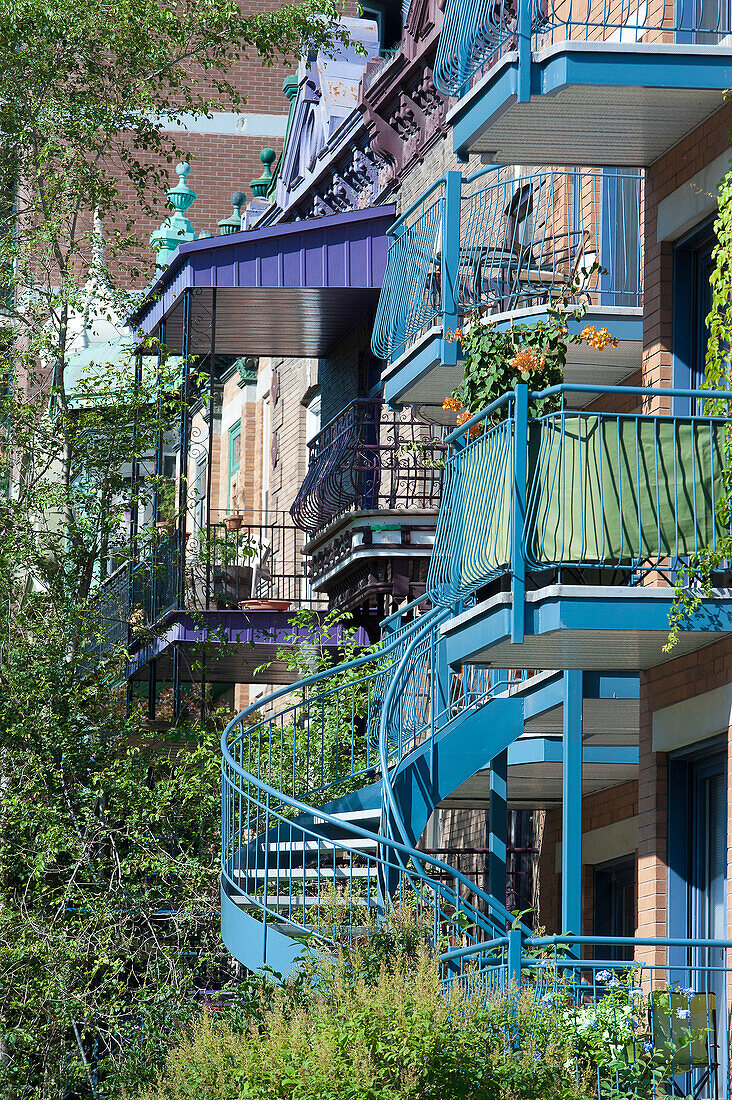 Canada, Province of Quebec. Montreal. Plateau Mont Royal district. Rachel street. Outdoor wrought iron staircases
