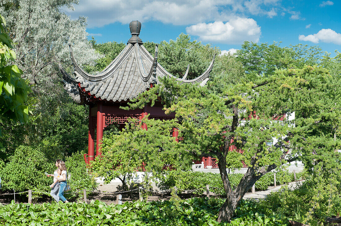 Canada, Province of Quebec. Montreal. District Hochelega-Maisonneuve (HoMa). The botanic garden. The Chinese garden