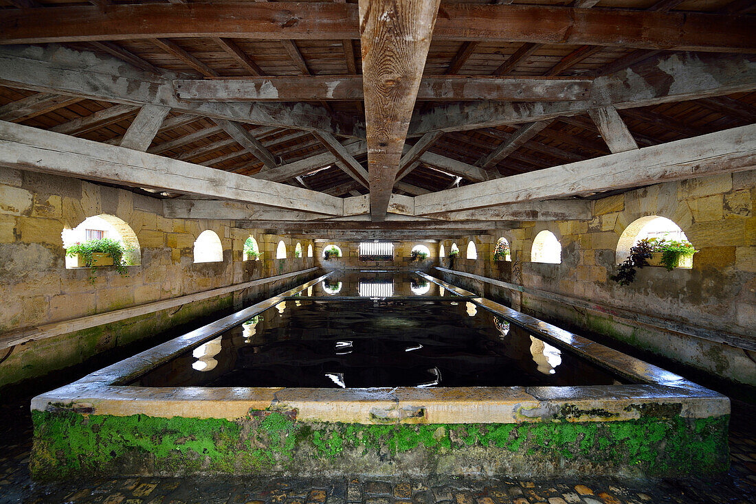 France, Bourg sur Gironde, medieval washhouse, pond and towering frame