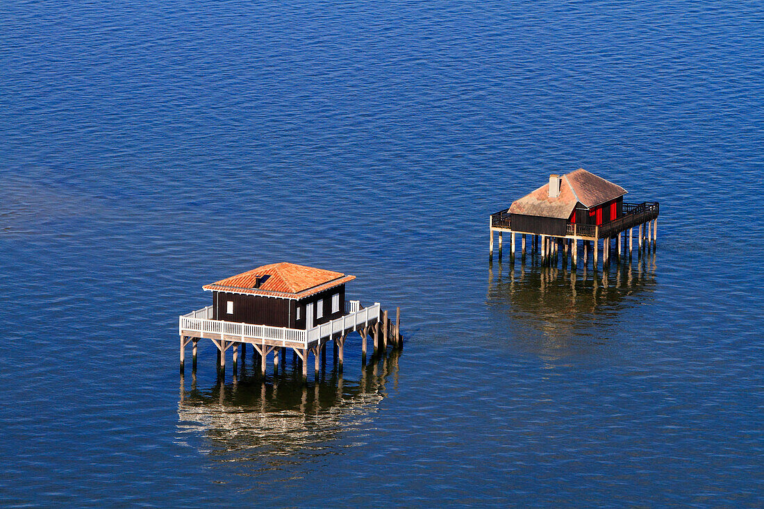 France, Gironde. Arcachon Bay. Bird Island. Cabin built on stilts.