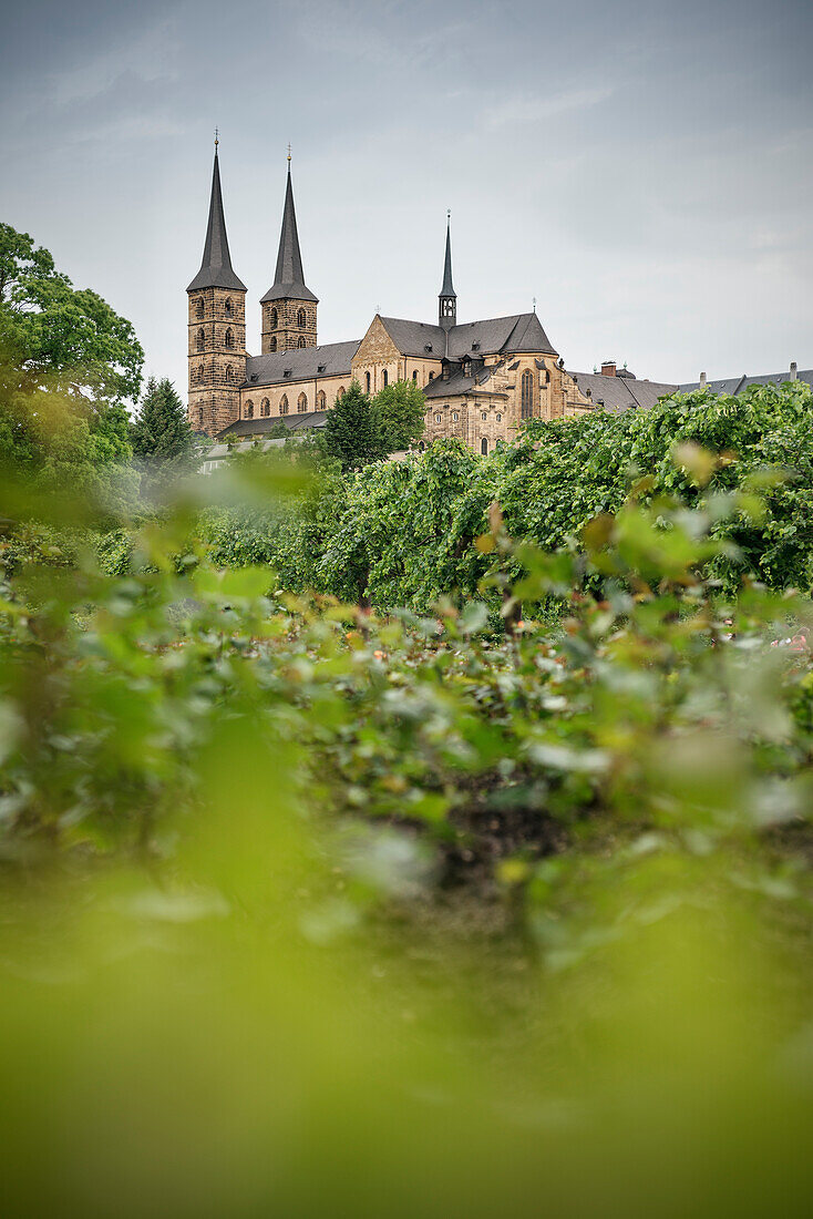 view towards the monastery church of St. Michael from the rose garden of the New Residence, Bamberg, Franconia Region, Bavaria, Germany, UNESCO World Heritage