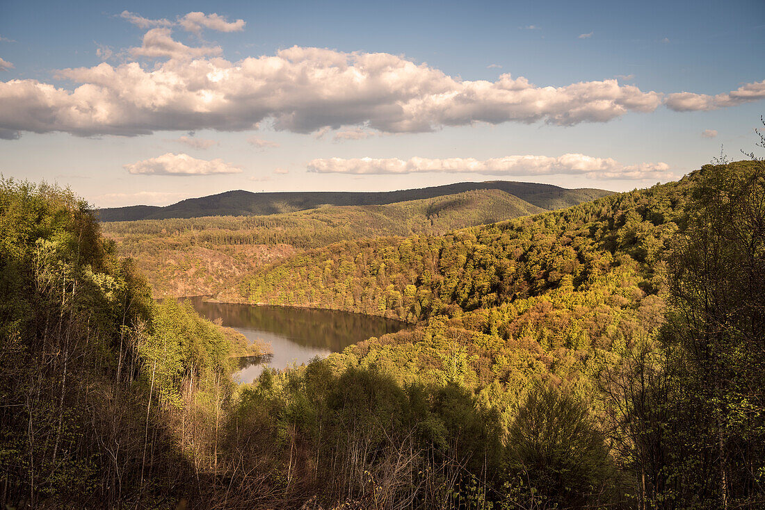 UNESCO Welterbe „Alte Buchenwälder Deutschlands“, Blick zum Edersee, Kellerwald Edersee Nationalpark, Hessen, Deutschland