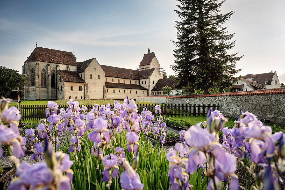UNESCO World Heritage Reichenau Monastery Island, Minster of St. Maria and Markus with monastery garden, Mittelzell, Lake Constance, Baden-Wuerttemberg, Germany