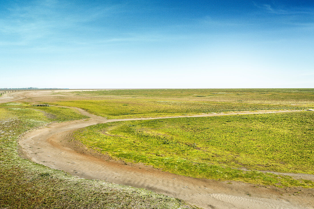 UNESCO Weltnaturerbe Wattenmeer, Salzwiese auf Vogelinsel Scharhörn bei Insel Neuwerk, Bundesland Hamburg, Deutschland, Nordsee