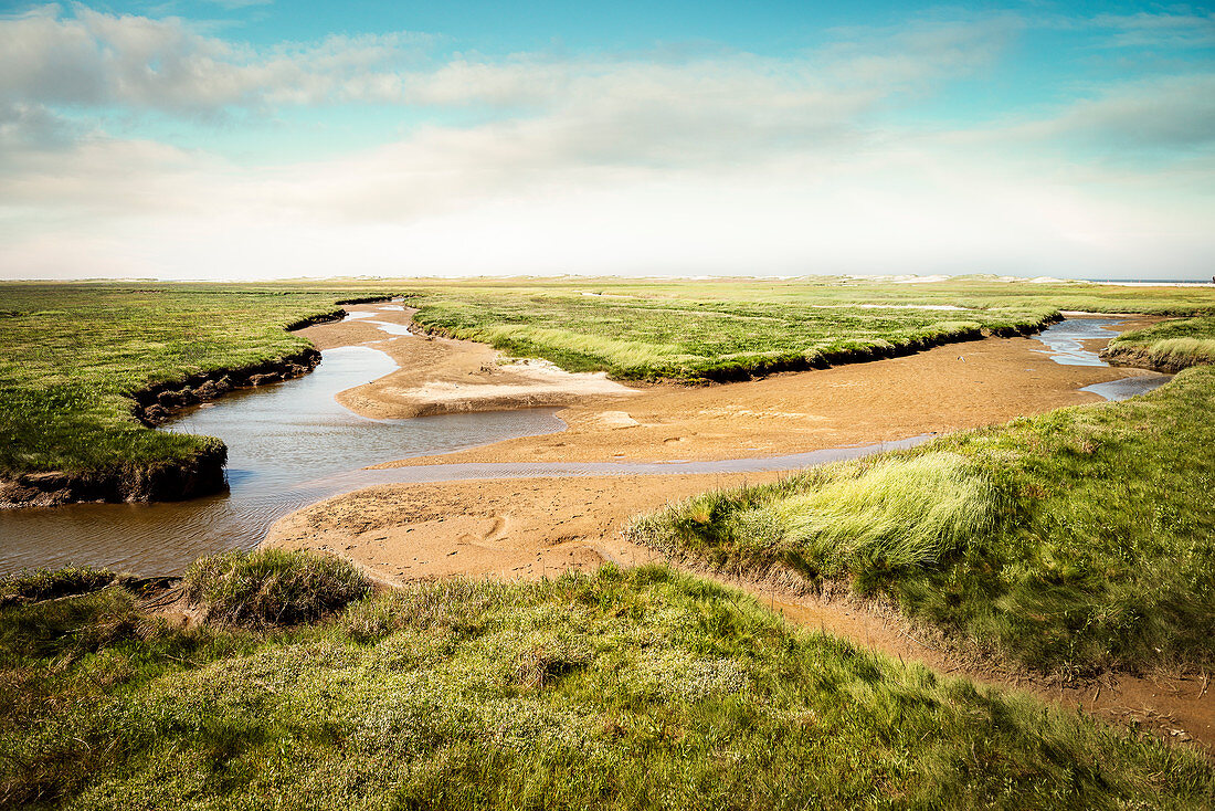 UNESCO Weltnaturerbe Wattenmeer, Salzwiese bei Sankt Peter-Ording, Schleswig-Holstein, Deutschland, Nordsee