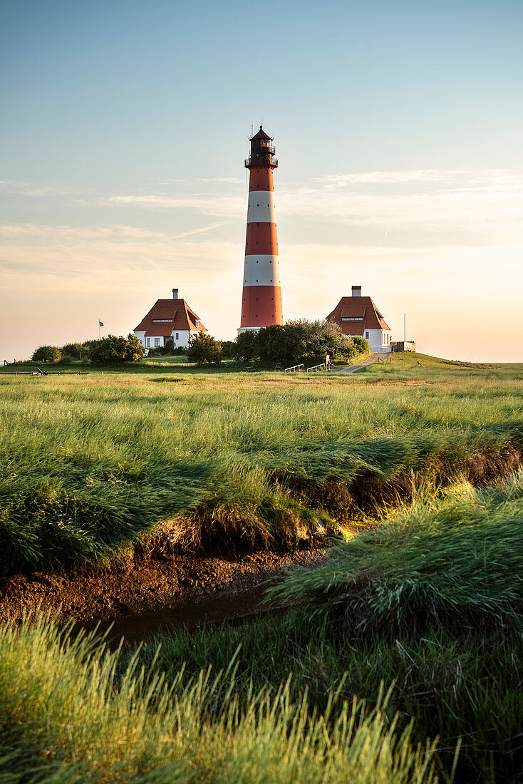 UNESCO Weltnaturerbe Wattenmeer, Leuchtturm Westerheversand umgeben von Salzwiesen, Westerhever, Schleswig-Holstein, Deutschland, Nordsee