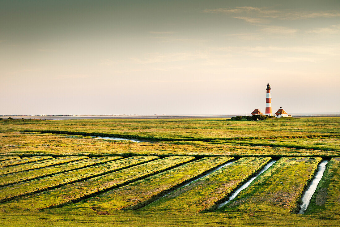 UNESCO World Heritage the Wadden Sea, Westerheversand lighthouse surrounded by salt meadows, Westerhever, Schleswig-Holstein, Germany, North Sea