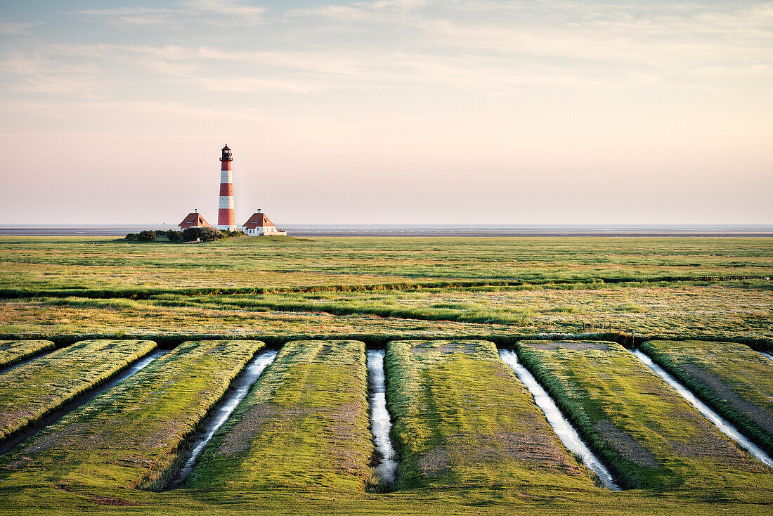 UNESCO Weltnaturerbe Wattenmeer, Leuchtturm Westerheversand umgeben von Salzwiesen, Westerhever, Schleswig-Holstein, Deutschland, Nordsee