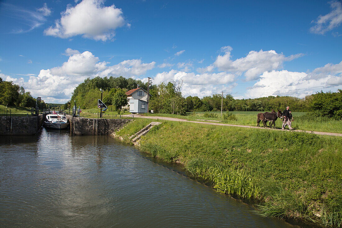 Paar und zwei Esel auf Weg neben Fluss Petit Saône mit Le Boat Magnifique Hausboot in Schleuse Ecluse 14 de Véreux, Au-Dessus des Prés, Beaujeu-Saint-Vallier-Pierrejux-et-Quitteur, Haute-Saône, Bourgogne Franche-Comté (Burgund), Frankreich, Europa