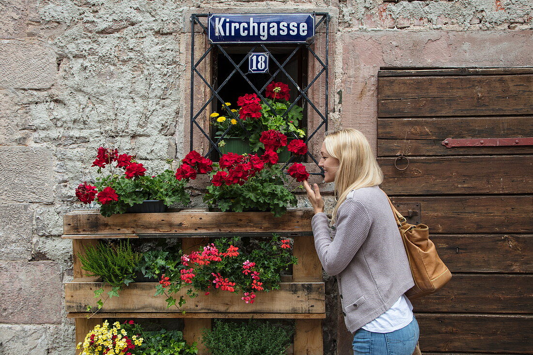 Schöne blonde Frau riecht an roten Rosen auf Fensterbrett eines Fachwerkhauses in der Altstadt, Bad Orb, Spessart-Mainland, Hessen, Deutschland, Europa