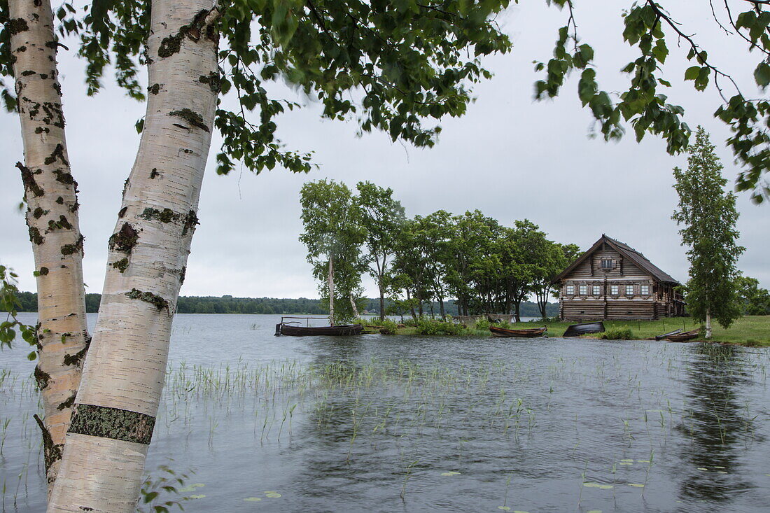 Birke, house und Ufer im Freiluftmuseum Kischi Pogost auf der Insel Kischi am Onegasee, Russland, Europa