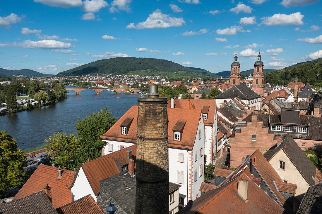 Overhead of city rooftops and Main river from roof of Brauerei Faust brewery, Miltenberg, Spessart-Mainland, Franconia, Bavaria, Germany