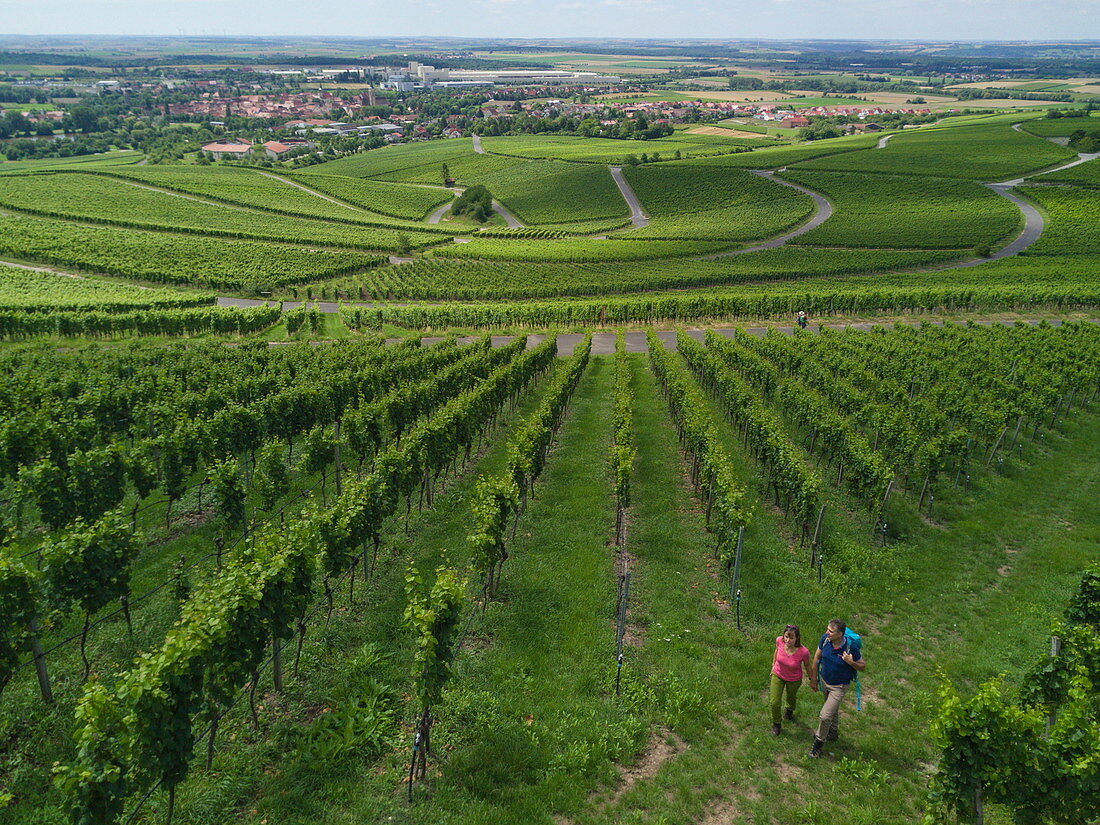 Aerial of couple walking through Iphöfer Julius-Echter-Berg vineyard, Iphofen, Fränkisches Weinland, Franconia, Bavaria, Germany