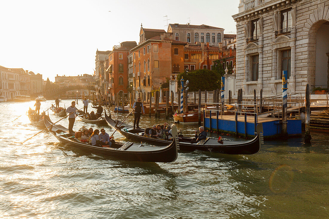 Paläste am Canal Grande, Gondeln, Venedig, UNESCO Welterbe, Weltkulturerbe, Venetien, Veneto, Italien, Europa