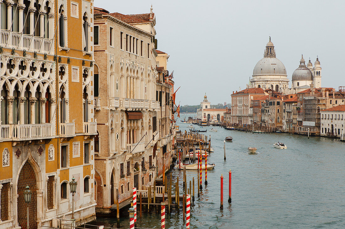 Palazzo Cavalli Francetti and church Santa Maria della Salute with Canal Grande, Venezia, Venice, UNESCO World Heritage Site, Veneto, Italy, Europe