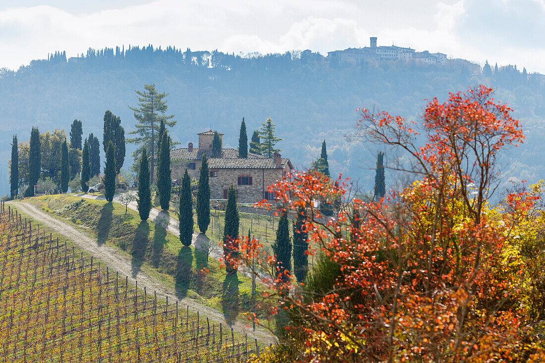 Landschaft mit Landhaus, Zypressen und Weinbergen vor Radda in Chianti, Herbst, Chianti, Toskana, Italien, Europa