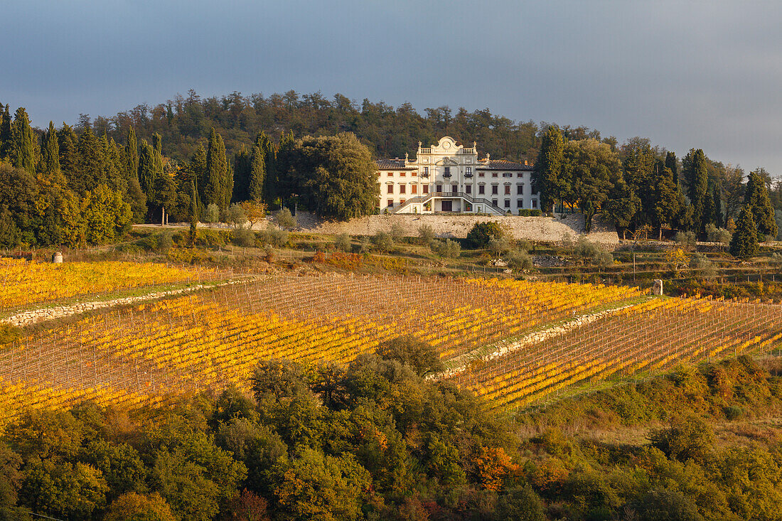 Villa Vistarenni, 17th century, hotel, vineyards, near Radda, Gaiole in Chianti, autumn, Chianti, Tuscany, Italy, Europe