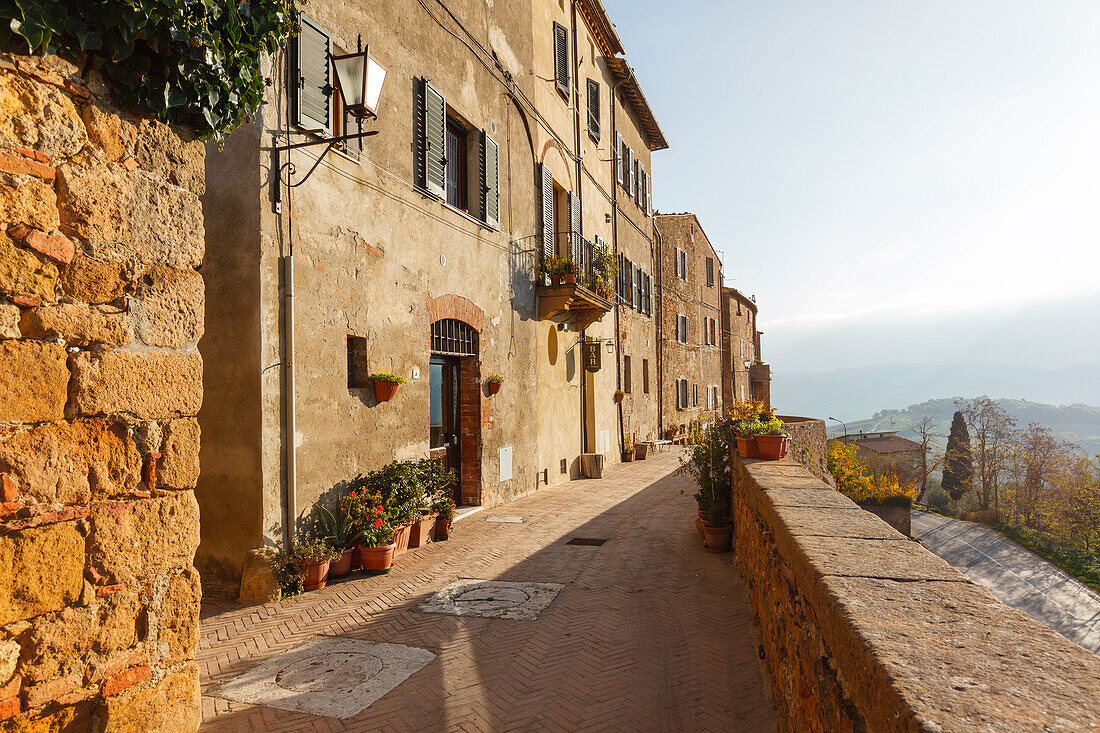 walkway with viewpoint behind the cathedral,  cypresses, view over the valley, Val d´Orcia, Pienza, Tuscany, Italy, Europe